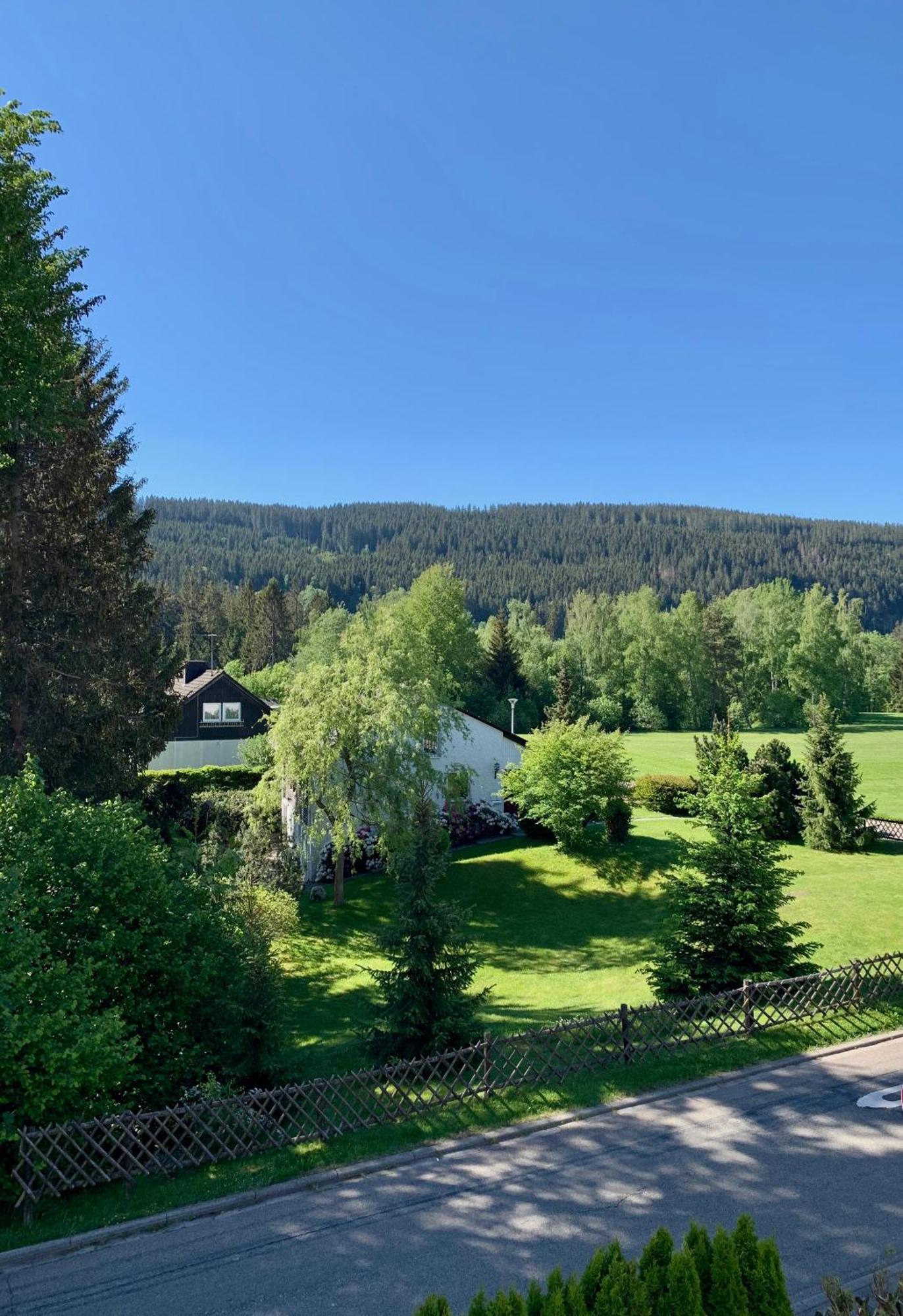 Ferienwohnung Homburger - Titisee المظهر الخارجي الصورة