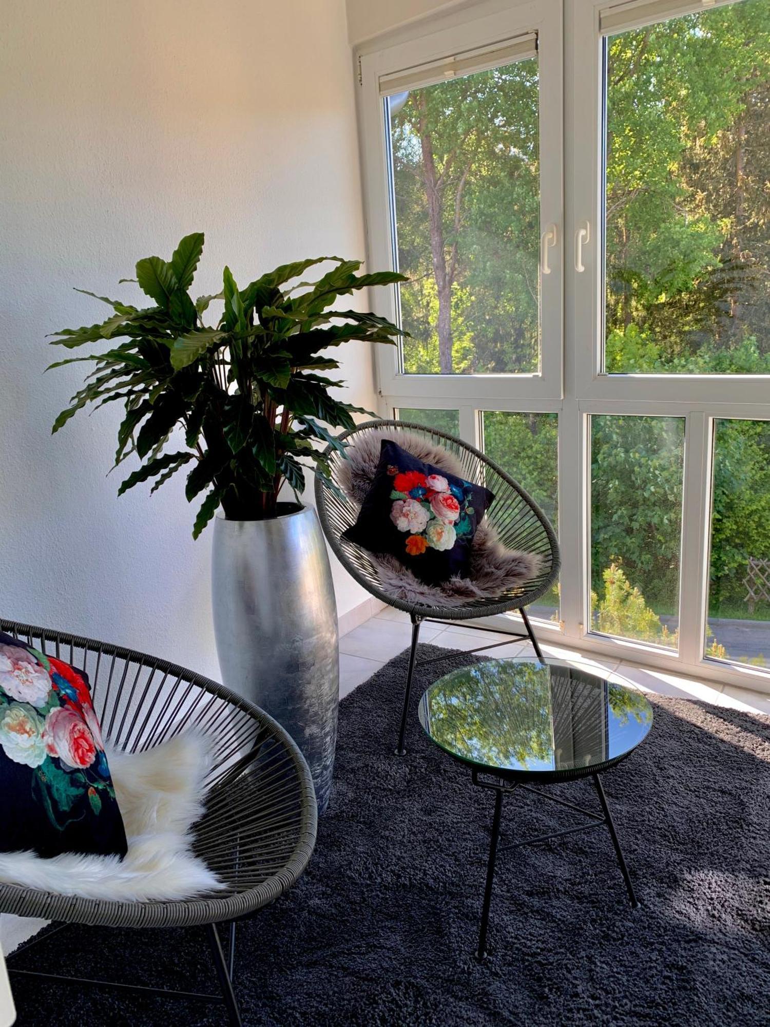 Ferienwohnung Homburger - Titisee المظهر الخارجي الصورة